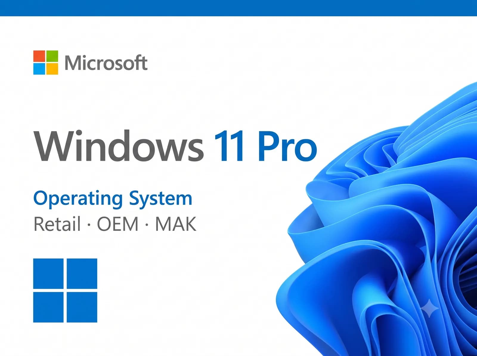 Windows 11 Pro