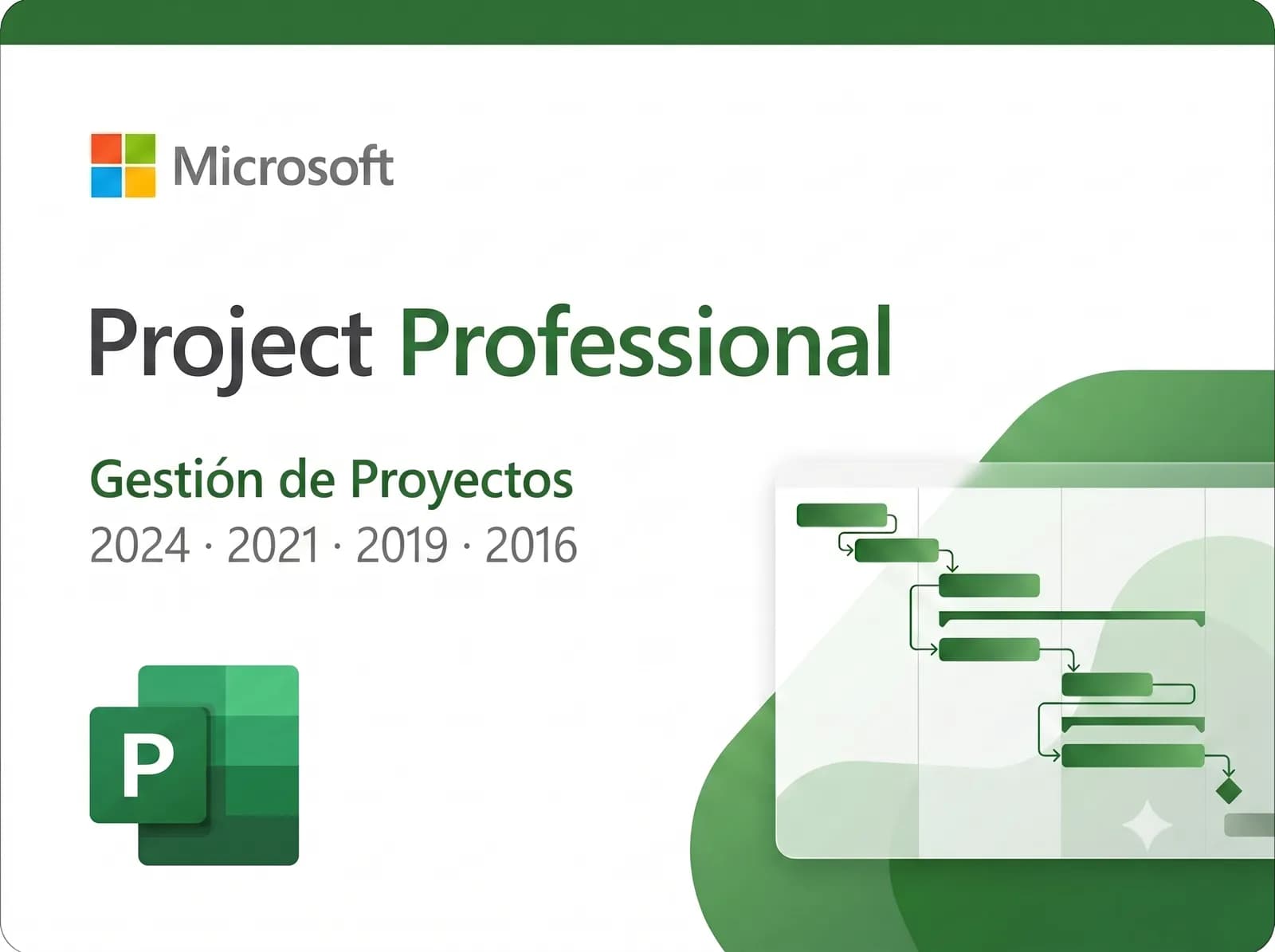 Microsoft Project Professional