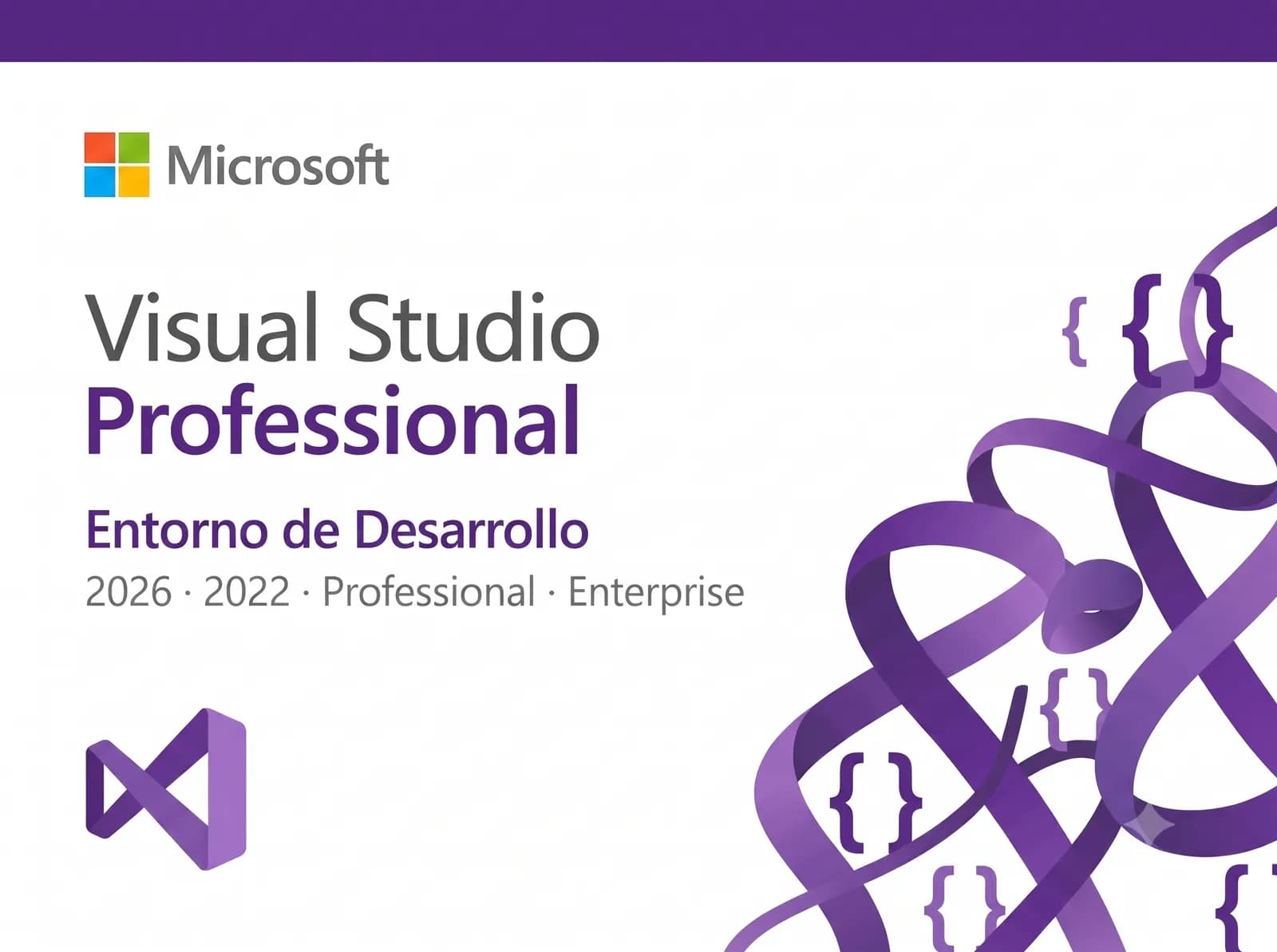 Visual Studio 2026/2022 Professional/Enterprise